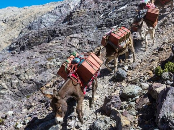 ग्रामीण सडक मर्मत नहुँदा खच्चडकै सहारा