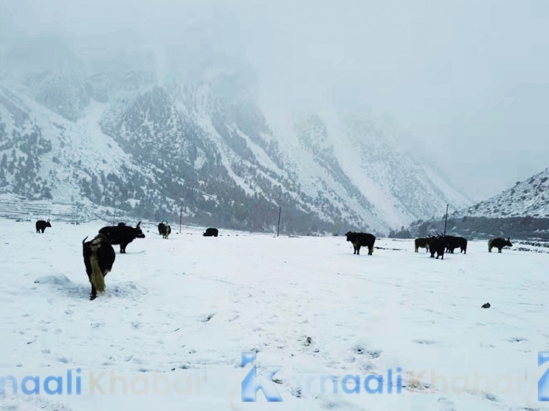 हुम्लामा चिसो झन् झन् बढ्दै