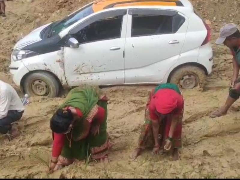 जनप्रतिनिधिले नै रोपे सडकमा कोदो 