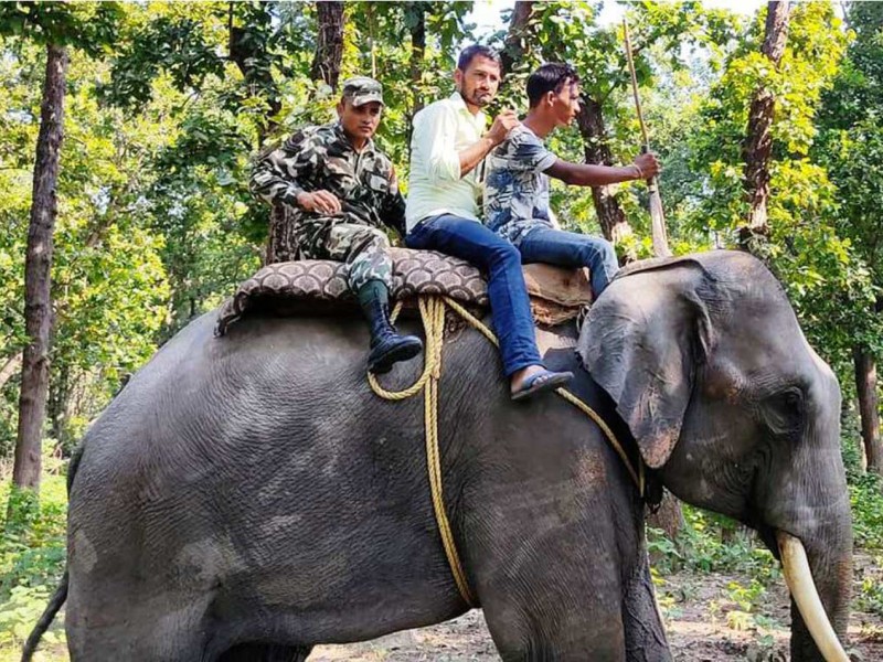 चितुवा खोज्दै 