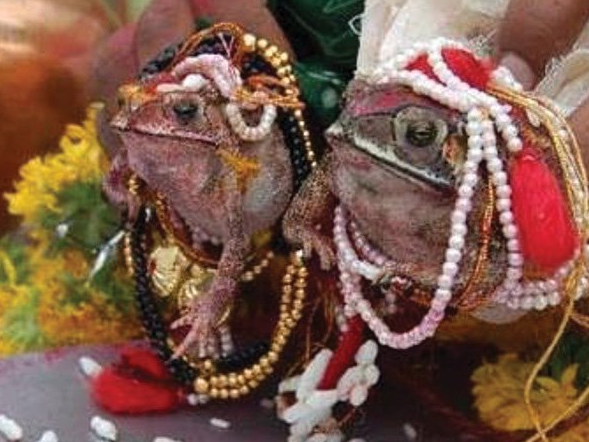 नेवार समुदायमा ‘गुन्हुपुन्ही’ मनाइँदै