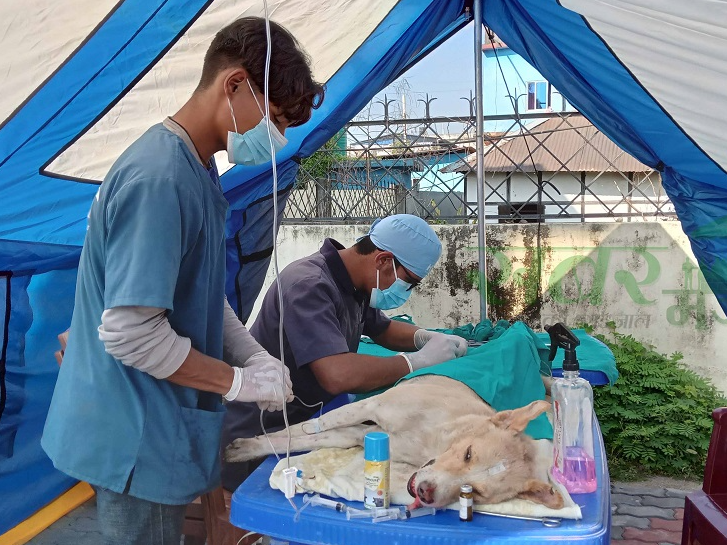 पुनः सुरु भयो बन्ध्याकरण शिविर