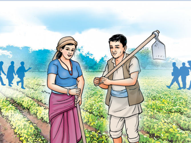 व्यावसायिक कृषकलाई अनुदानमा च्यापकटर