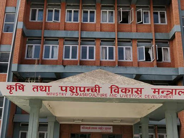 किसानलाई पाँच अर्ब क्षतिपूर्ति दिने तयारी