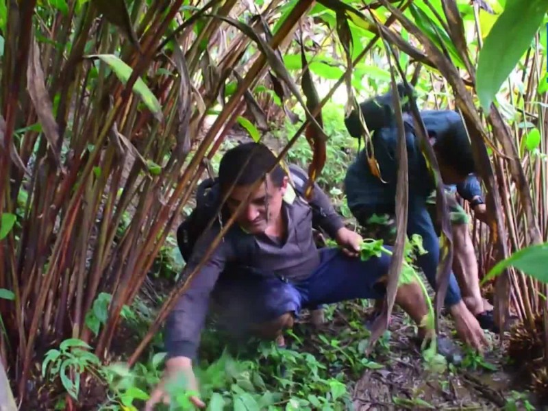 चिया र अलैँची लक्षित कर सुधार तथा राजस्वसम्बन्धी छलफल