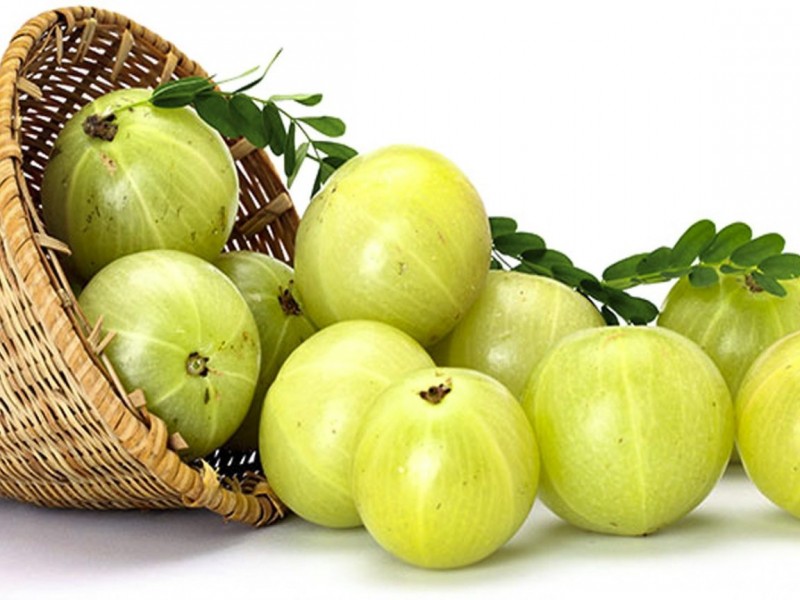 अमला खानुका अनेकौं  फाइदाहरु