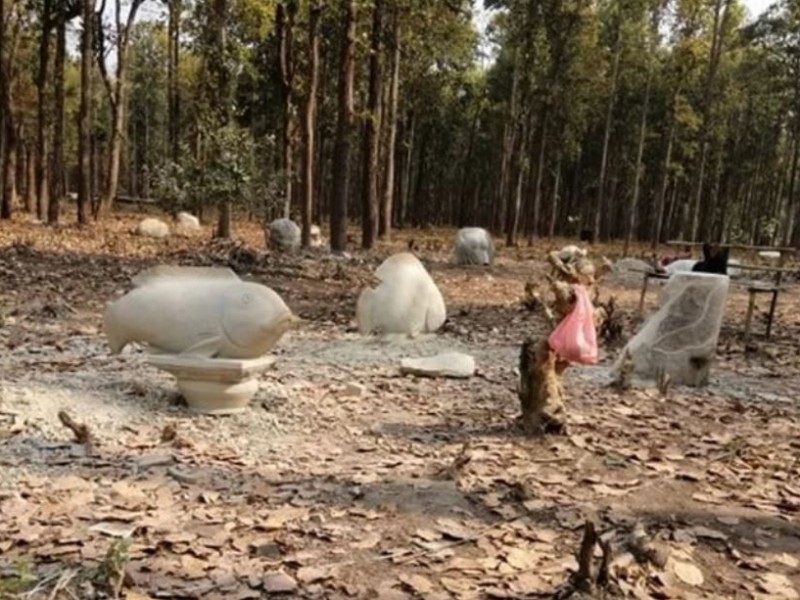 भूमाफियाबाट फिर्ता गरिएको जग्गामा आकर्षक उद्यान
