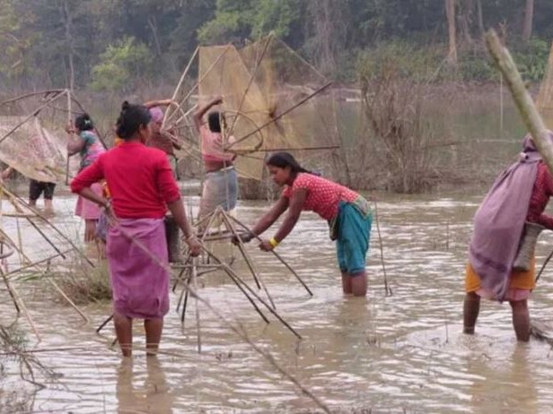 लालपुर्जा दिनेलाई मात्रै भोट दिने अडान 