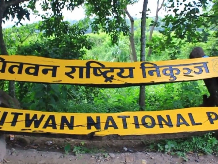 ३१ वन्यजन्तु मरे