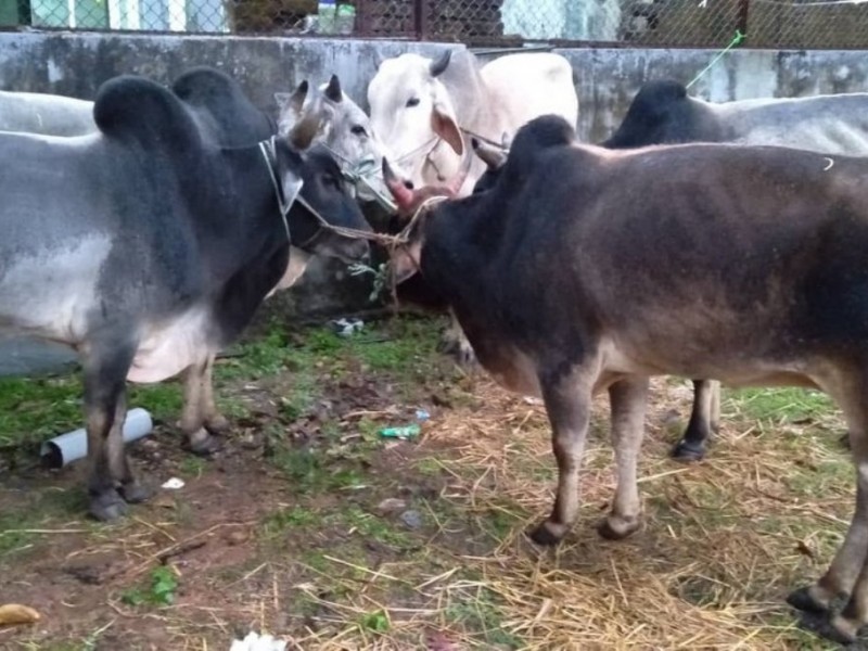 कर्णालीमा वीर्य भण्डारणस्थल बन्दै 