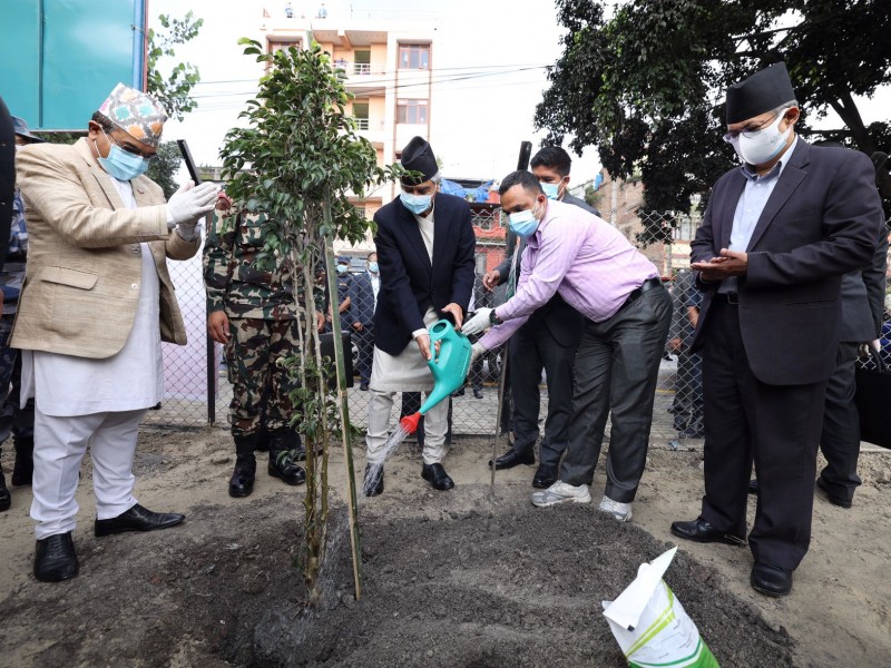 प्रधानमन्त्री देउवाद्वारा वृक्षरोपण अभियान शुभारम्भ