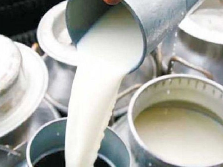 दूध उत्पादन गर्नेलाई १८ लाख अनुदान