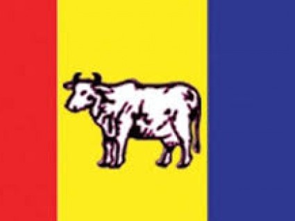 अदालतको निर्णयप्रति राप्रपाको धारणा