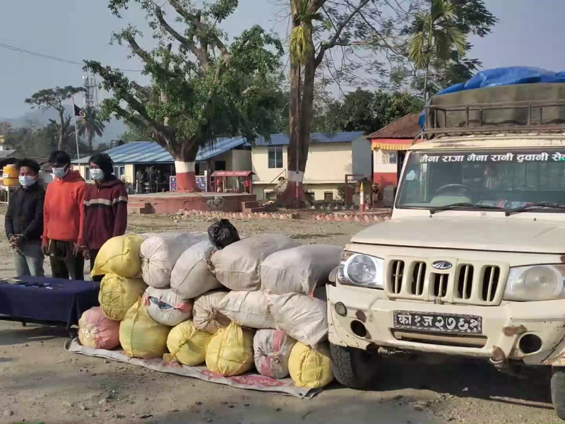 सिरुवानीबाट ४ सय केजी गाँजासहित ३ जना पक्राउ
