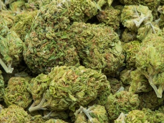 ठूलो परिमाणको गाँजासहित गाडी नियन्त्रणमा  