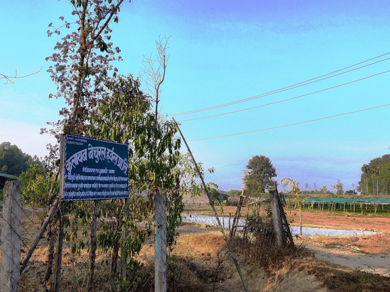 धुञ्चेमा पशु सेवा सम्पर्क केन्द्र स्थापना