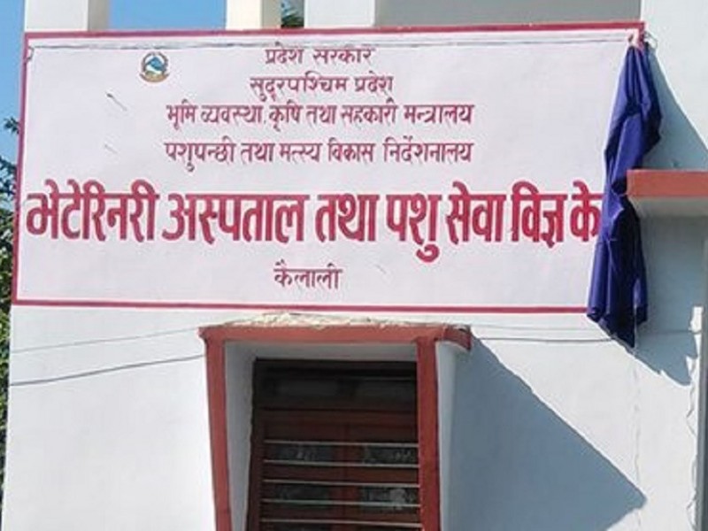 नमूना भेटेरिनरी अस्पताल निर्माण हुँदै