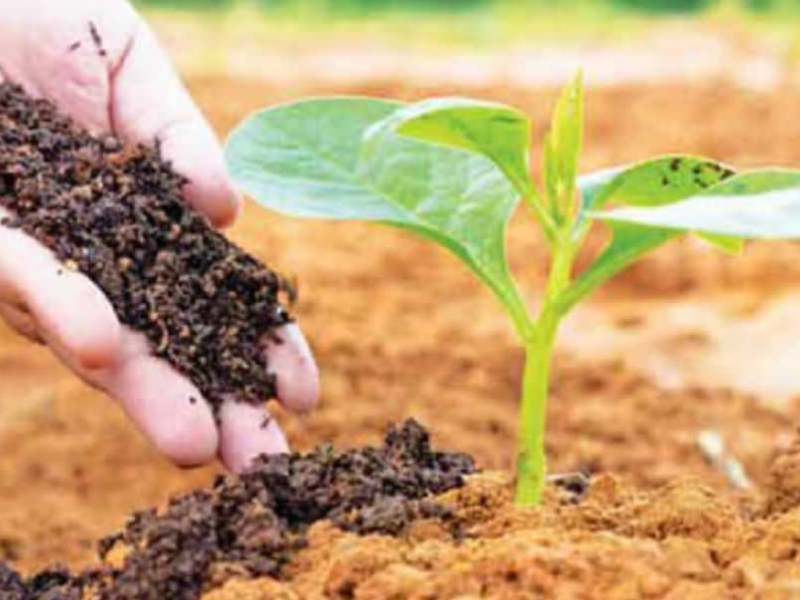 अर्गानिक उत्पादनलाई एकीकृत गर्दै अन्नपात एग्रो