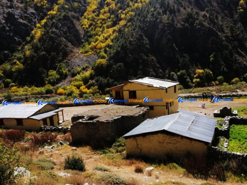 जहाँको प्रहरी चौकीमा उजुरी पर्दैनन् 
