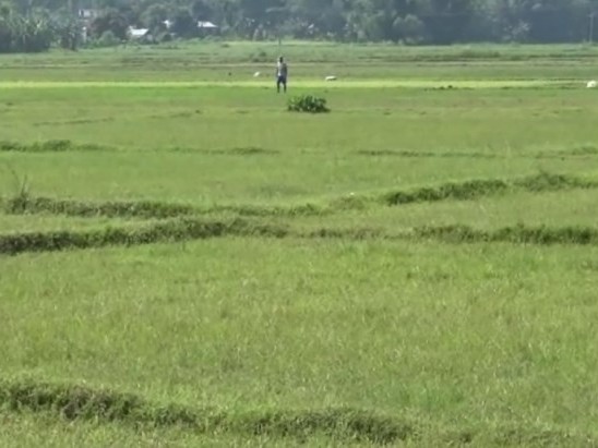 आफ्नो जग्गा बेचेर चामल किनेर खाने संख्या बढ्यो 