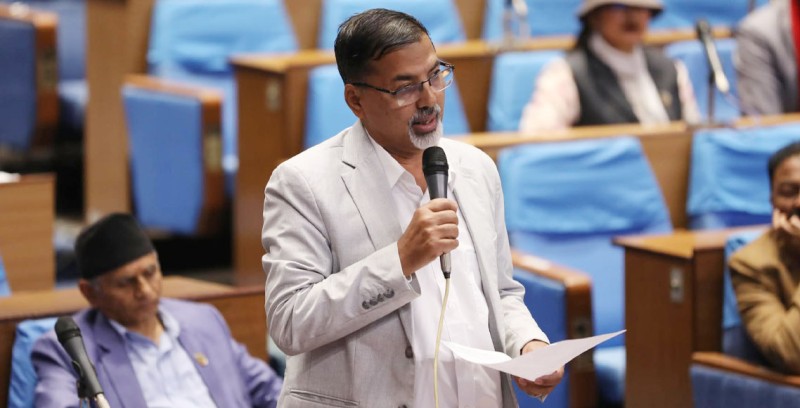 जनार्द्धन शर्मा भन्छन्,– ‘सत्तामोहले समस्या भयो’