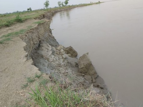 नदी कटान रोक्न सामूहिक प्रयास 