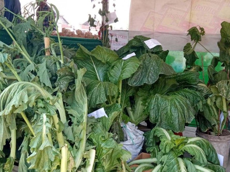 कृषि उत्पादनतिर सहकारी