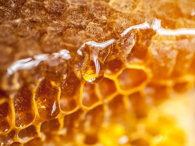 मह बेचेर वार्षिक ३५ लाख आम्दानी