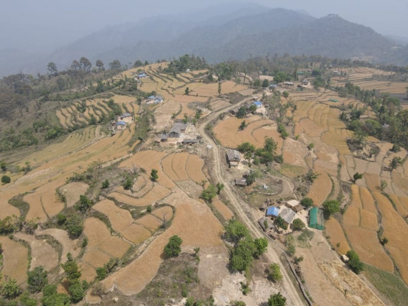 डडेल्धुराको मलासक्षेत्र बाख्रापालनको ‘हब’