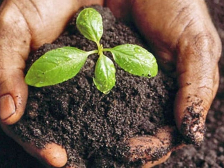 मुड्केचुलामा उत्पादन बढाउन माटोको जाँच