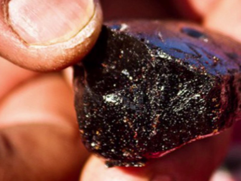 उत्खनन र प्रशोधन हुँन नसक्दा खेर जाँदै बहुमूल्य जडीबुटी