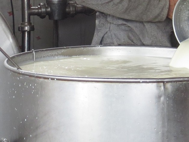 तत्काल दूधको मूल्य बढाउन किसानको माग