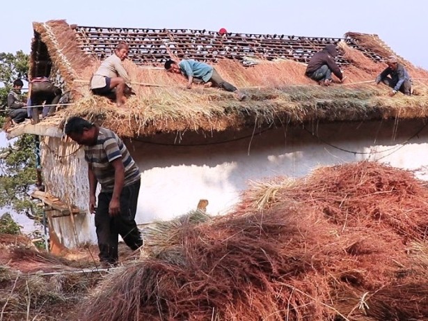 खरका छाना हटाएर अतिविपन्न परिवारका घरमा जस्तापाता