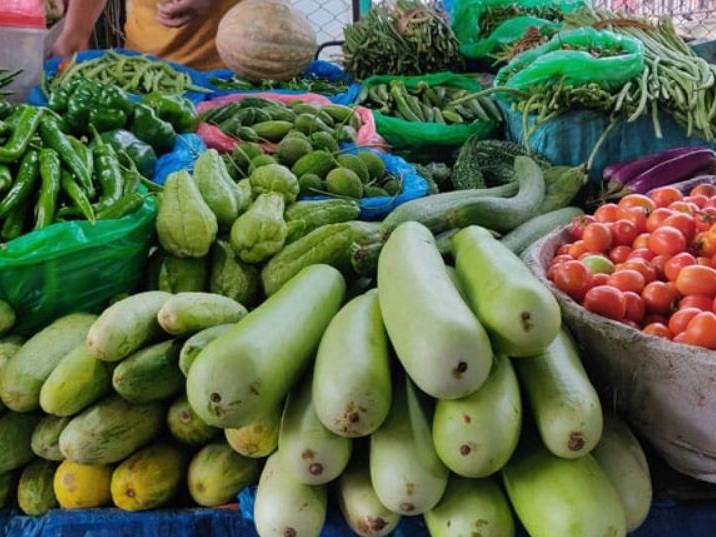 कृषि तरकारी थोक बजारको शिलान्यास 