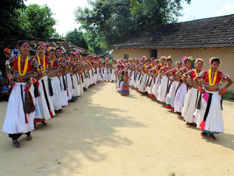 थारू समुदायको परम्परालाई सरकारी मान्यता