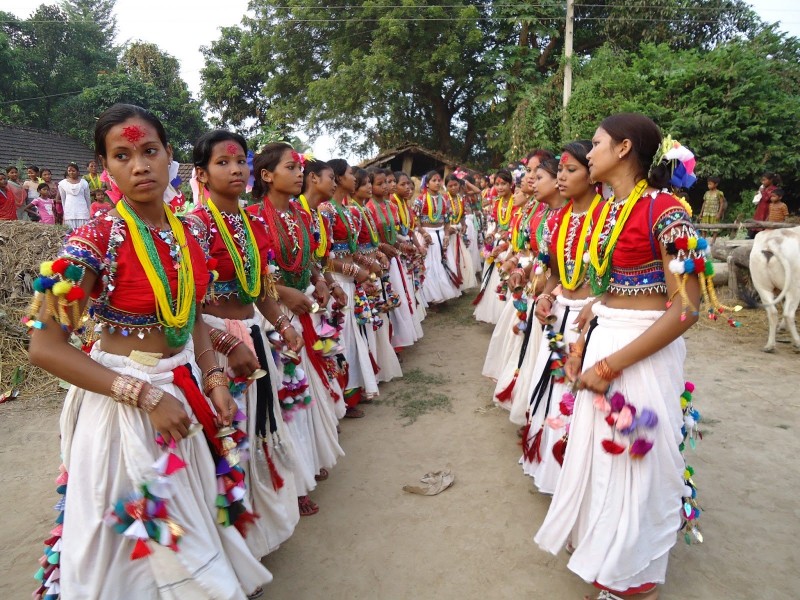 थारु समुदायमा अटवारी पर्वको रौनक