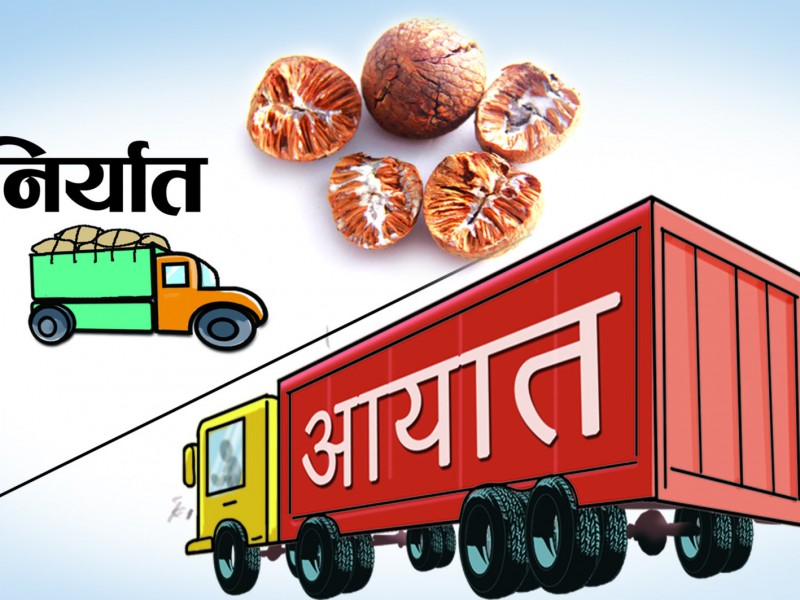 आयातबाट ४ अर्ब ३३ करोड राजस्व, निर्यात शून्य