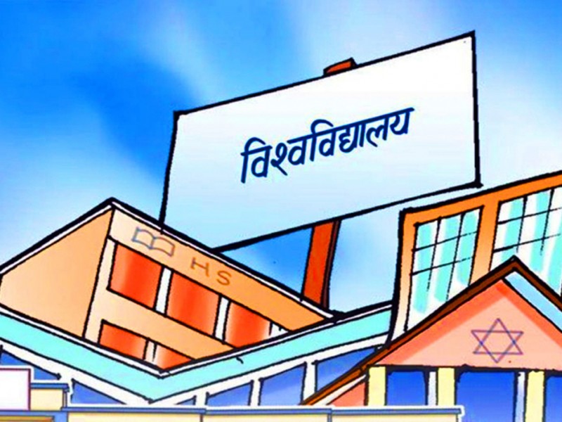 विश्वविद्यालयको पाठ्यक्रममा समावेशिताको विषय समावेश हुनुपर्ने 