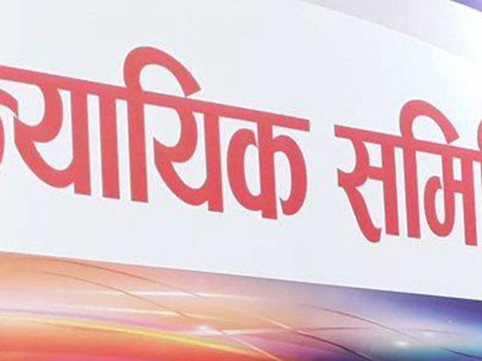 न्यायिक समितिमा पीडितका मुद्दा
