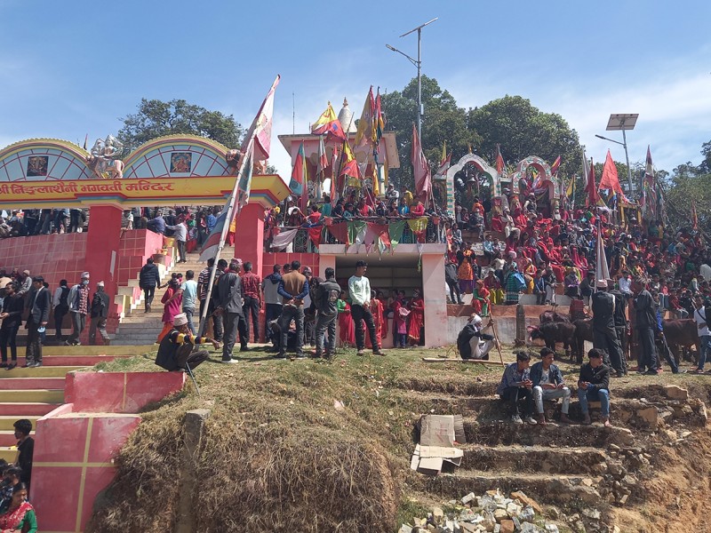 शक्तिपीठमा दर्शनार्थीको घुइँचो