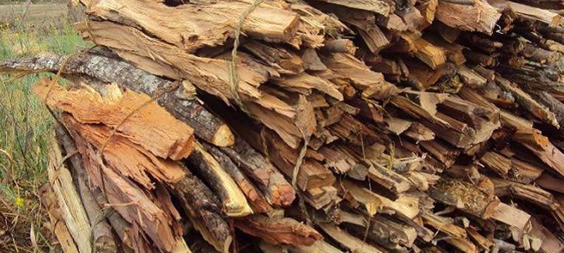 निःशुल्क दाउरा वितरण