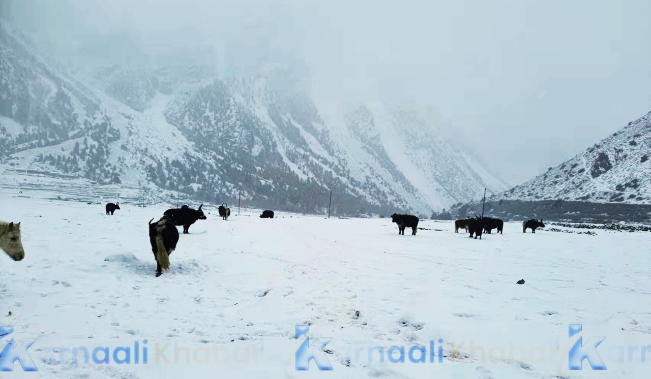 हुम्लामा चिसो झन् झन् बढ्दै