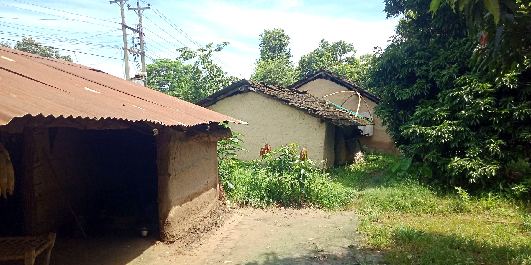 मुक्त कमैयासँग लालपूर्जा छ, जग्गा छैन 