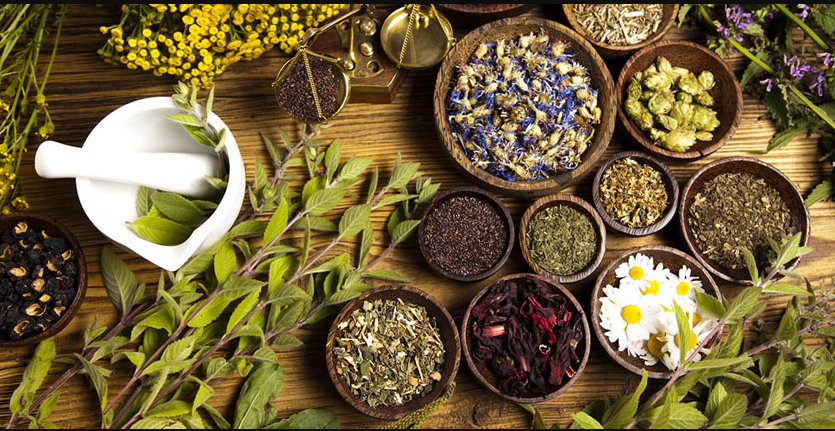 कर्णालीकै पहिलो जडीबुटी प्रशोधन केन्द्रको निर्माण सुरु