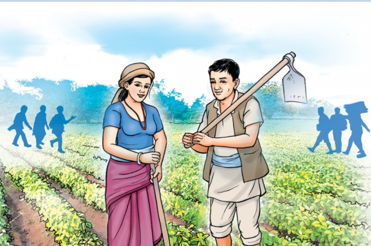 व्यावसायिक कृषकलाई अनुदानमा च्यापकटर