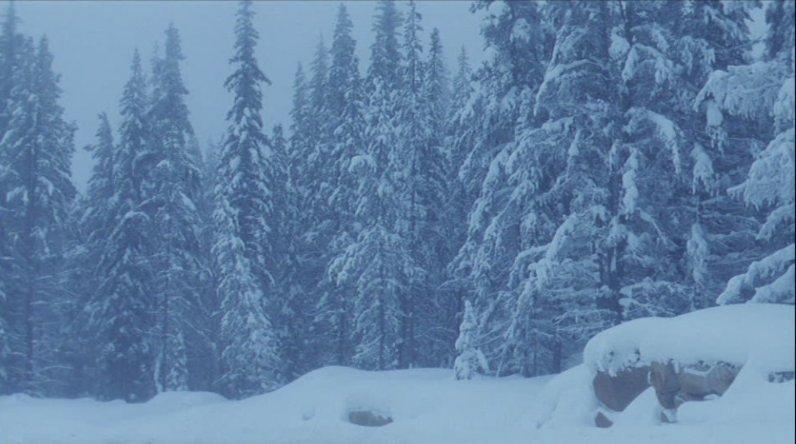 न्यून चापीय क्षेत्रको प्रभावले बदली र हिमपात