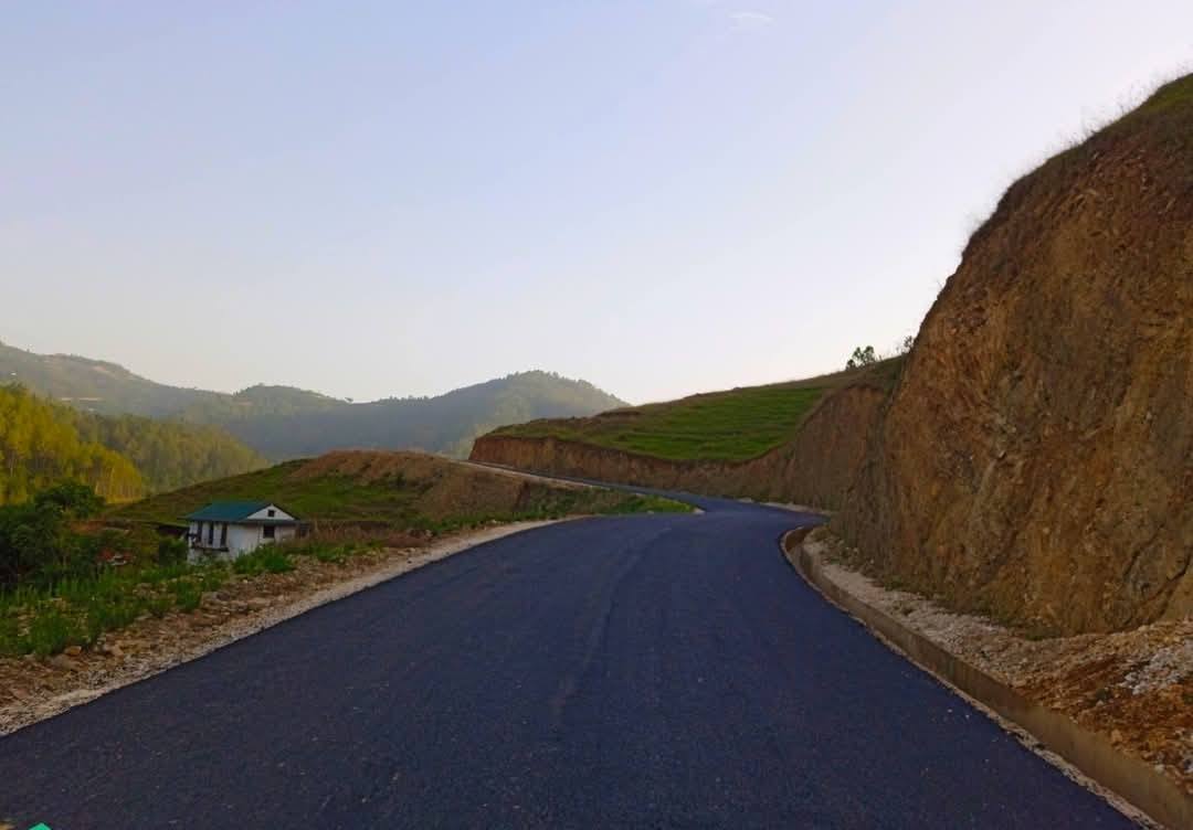 bagchaur2-1748940085.jpg
