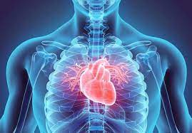 फोक्सो र मुटुका बिरामीलाई छ लाख सहयोग