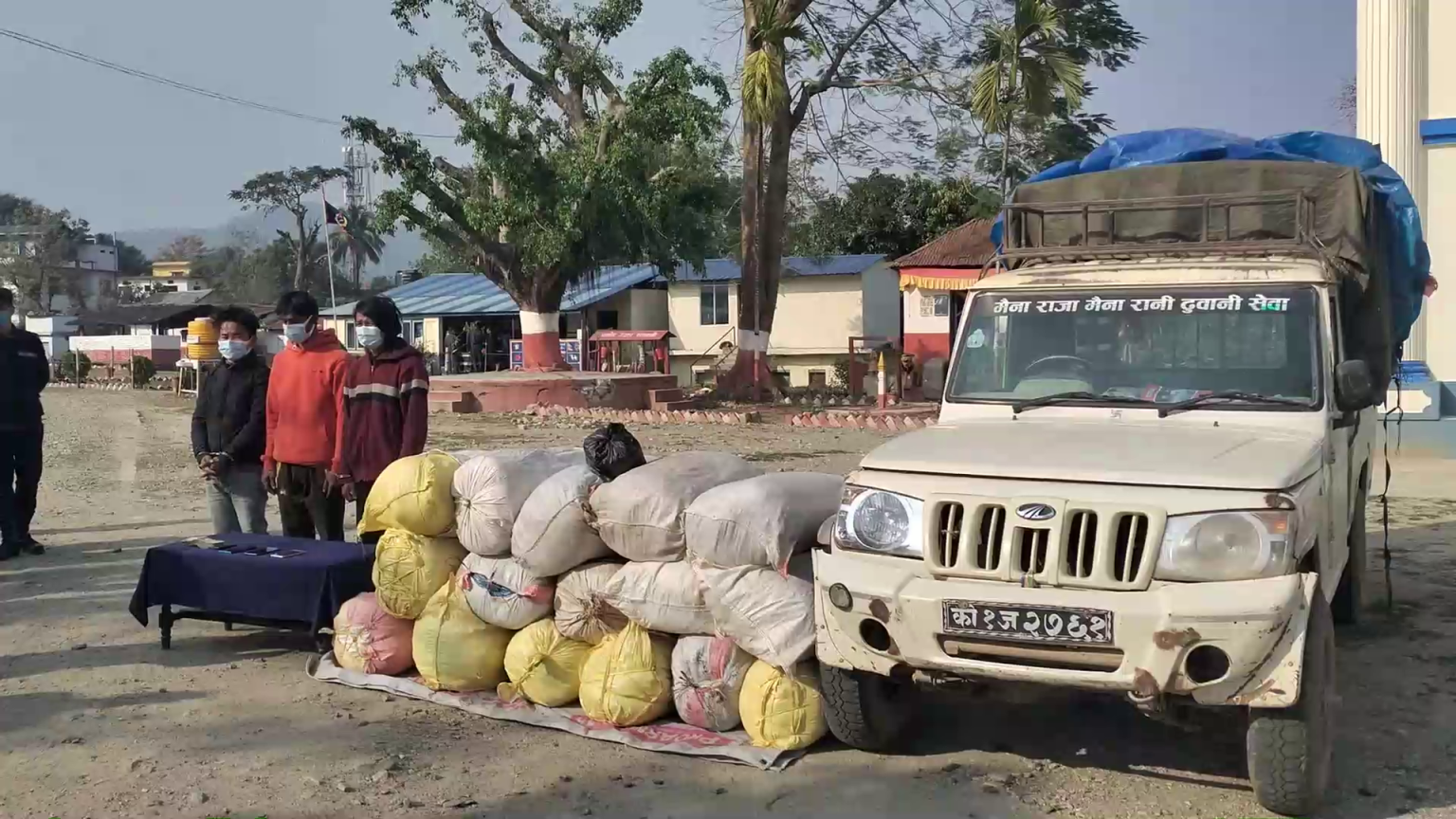 सिरुवानीबाट ४ सय केजी गाँजासहित ३ जना पक्राउ