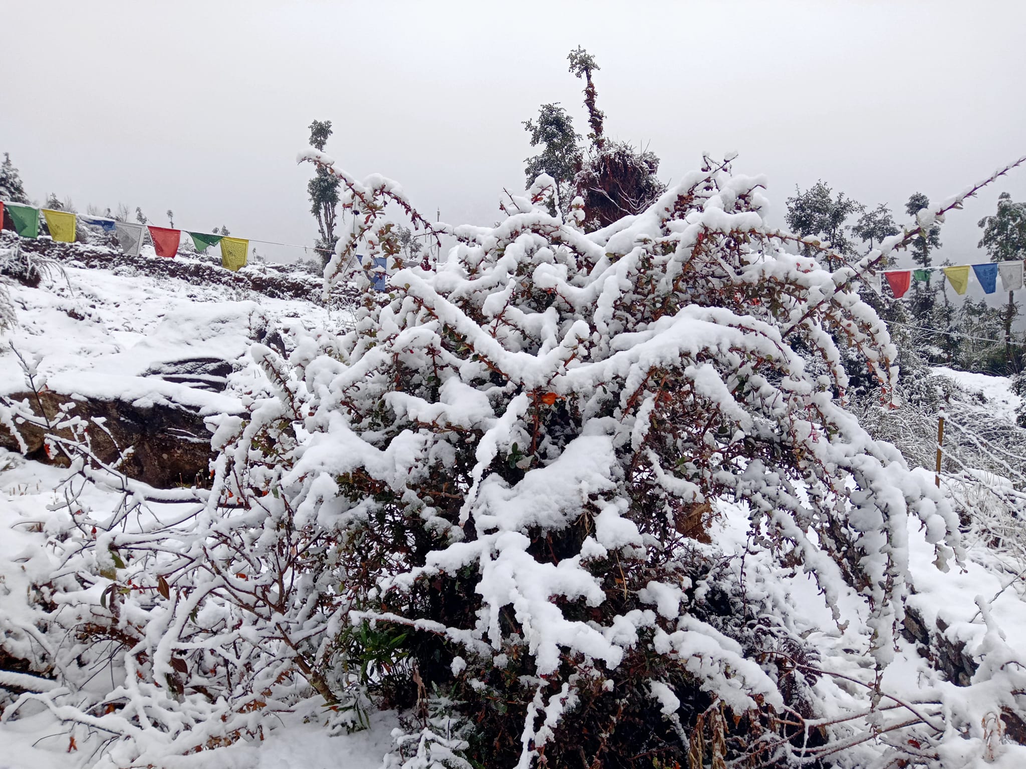 हिउँमा फोटो खिचाउन भ्याइनभ्याइ